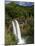 Wailua Falls, Kauai, Hawaii, USA-David R. Frazier-Mounted Photographic Print
