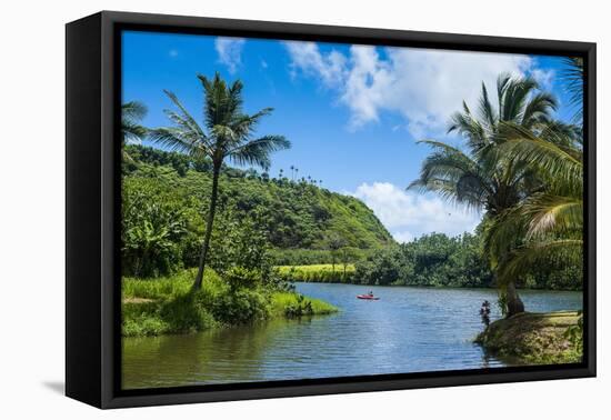 Wailua River. Kauai, Hawaii, United States of America, Pacific-Michael Runkel-Framed Premier Image Canvas