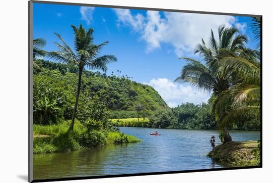 Wailua River. Kauai, Hawaii, United States of America, Pacific-Michael Runkel-Mounted Photographic Print