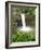 Wailuku River Rainbow Falls State Park on the Big Island, Hawaii-Michael DeFreitas-Framed Photographic Print