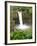 Wailuku River Rainbow Falls State Park on the Big Island, Hawaii-Michael DeFreitas-Framed Photographic Print