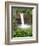 Wailuku River Rainbow Falls State Park on the Big Island, Hawaii-Michael DeFreitas-Framed Photographic Print