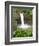 Wailuku River Rainbow Falls State Park on the Big Island, Hawaii-Michael DeFreitas-Framed Photographic Print