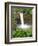 Wailuku River Rainbow Falls State Park on the Big Island, Hawaii-Michael DeFreitas-Framed Photographic Print