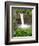 Wailuku River Rainbow Falls State Park on the Big Island, Hawaii-Michael DeFreitas-Framed Photographic Print