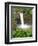 Wailuku River Rainbow Falls State Park on the Big Island, Hawaii-Michael DeFreitas-Framed Photographic Print