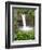 Wailuku River Rainbow Falls State Park on the Big Island, Hawaii-Michael DeFreitas-Framed Photographic Print