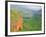 Waimea Canyon, Kauai, Hawaii, USA-Terry Eggers-Framed Photographic Print