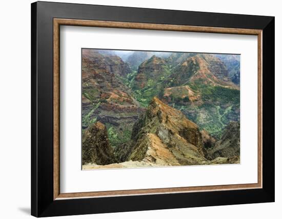 Waimea Canyon. Kauai. Hawaii. Usa-Tom Norring-Framed Photographic Print