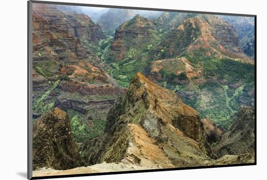 Waimea Canyon. Kauai. Hawaii. Usa-Tom Norring-Mounted Photographic Print