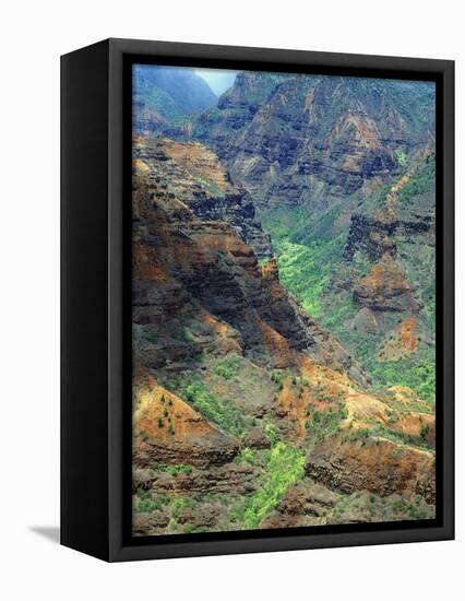Waimea Canyon-James Randklev-Framed Premier Image Canvas