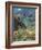 Waimea Canyon-James Randklev-Framed Photographic Print