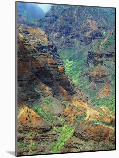 Waimea Canyon-James Randklev-Mounted Photographic Print