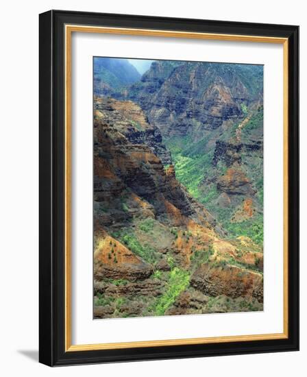 Waimea Canyon-James Randklev-Framed Photographic Print