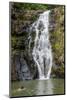 Waimea Falls, Waimea Valley Audubon Park, North Shore-Michael DeFreitas-Mounted Photographic Print