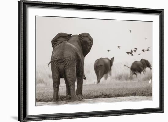 Wait for Me-null-Framed Giclee Print