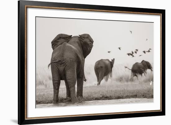 Wait for Me-null-Framed Giclee Print