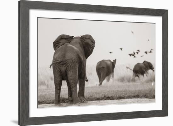 Wait for Me-null-Framed Giclee Print