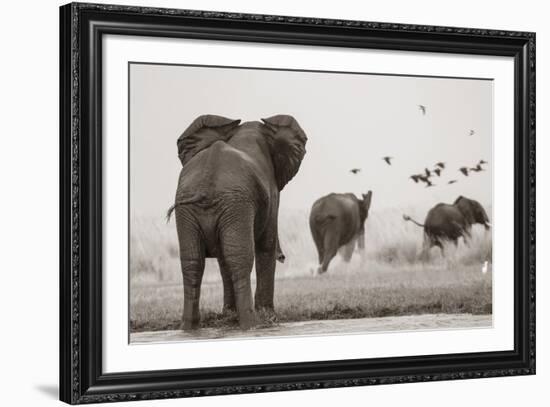 Wait for Me-null-Framed Giclee Print