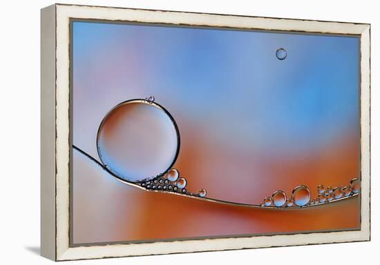 Wait For Me-Heidi Westum-Framed Premier Image Canvas