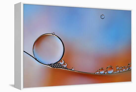 Wait For Me-Heidi Westum-Framed Premier Image Canvas