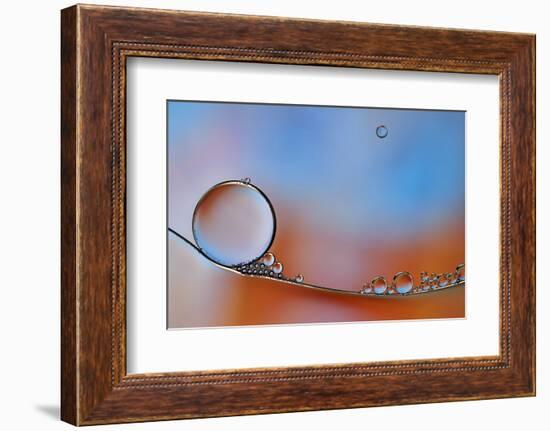 Wait For Me-Heidi Westum-Framed Photographic Print