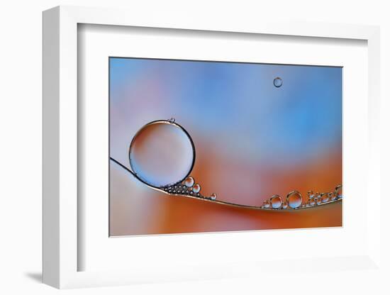 Wait For Me-Heidi Westum-Framed Photographic Print