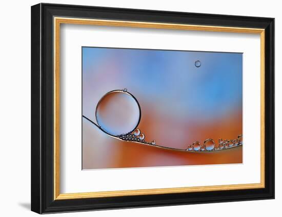 Wait For Me-Heidi Westum-Framed Photographic Print