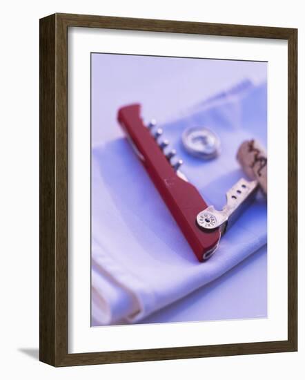 Waiter's Knife with Cork-Peter Medilek-Framed Photographic Print