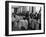 Waiters at the Grand Hotel Line Up at the Windows to Watch Sonja Henie Ice Skate Outside-Alfred Eisenstaedt-Framed Photographic Print