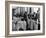 Waiters in the Grand Hotel Dining Room Lined Up at Window Watching Sonia Henie Ice Skating Outside-Alfred Eisenstaedt-Framed Photographic Print