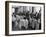 Waiters in the Grand Hotel Dining Room Lined Up at Window Watching Sonja Henie Ice Skating Outside-Alfred Eisenstaedt-Framed Photographic Print