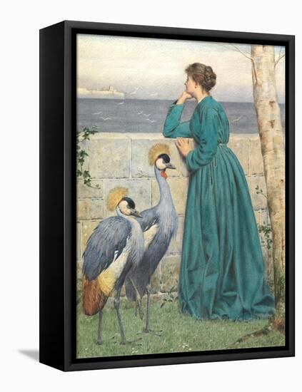 Waiting and Watching-Henry Stacey Marks-Framed Premier Image Canvas