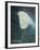 Waiting Bird-Tim Nyberg-Framed Giclee Print