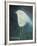 Waiting Bird-Tim Nyberg-Framed Giclee Print