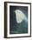 Waiting Bird-Tim Nyberg-Framed Giclee Print