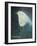 Waiting Bird-Tim Nyberg-Framed Giclee Print