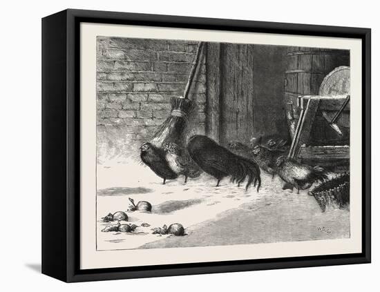 Waiting for a Break. 1876, Chicken, Chickens, Bird, Birds, Fowl, Fowls-null-Framed Premier Image Canvas