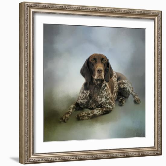 Waiting for a Cue German Shorthaired Pointer-Jai Johnson-Framed Giclee Print