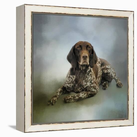 Waiting for a Cue German Shorthaired Pointer-Jai Johnson-Framed Premier Image Canvas