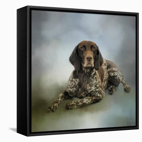 Waiting for a Cue German Shorthaired Pointer-Jai Johnson-Framed Premier Image Canvas