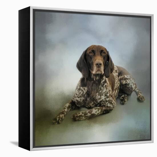 Waiting for a Cue German Shorthaired Pointer-Jai Johnson-Framed Premier Image Canvas