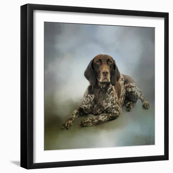 Waiting for a Cue German Shorthaired Pointer-Jai Johnson-Framed Premium Giclee Print