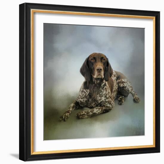 Waiting for a Cue German Shorthaired Pointer-Jai Johnson-Framed Premium Giclee Print