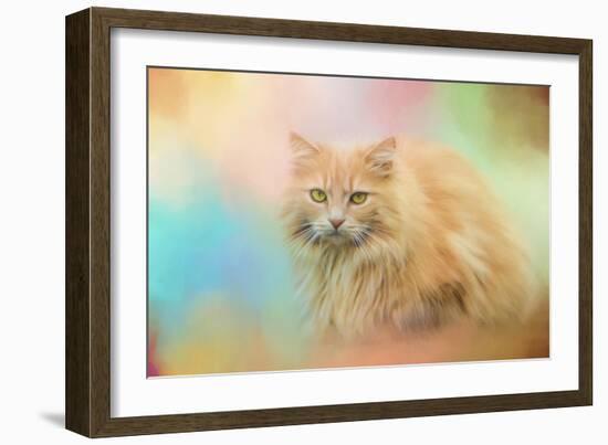 Waiting for Birds-Jai Johnson-Framed Giclee Print