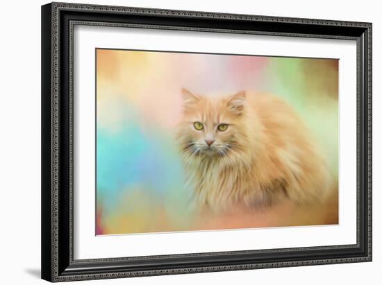 Waiting for Birds-Jai Johnson-Framed Giclee Print