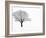 Waiting for Spring-Doug Chinnery-Framed Photographic Print