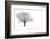 Waiting for Spring-Doug Chinnery-Framed Photographic Print