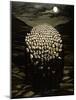 Waiting for the Day, 1979-Evelyn Williams-Mounted Giclee Print