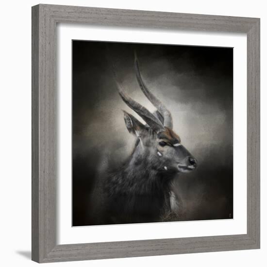 Waiting for the Storm Nyala Buck-Jai Johnson-Framed Giclee Print